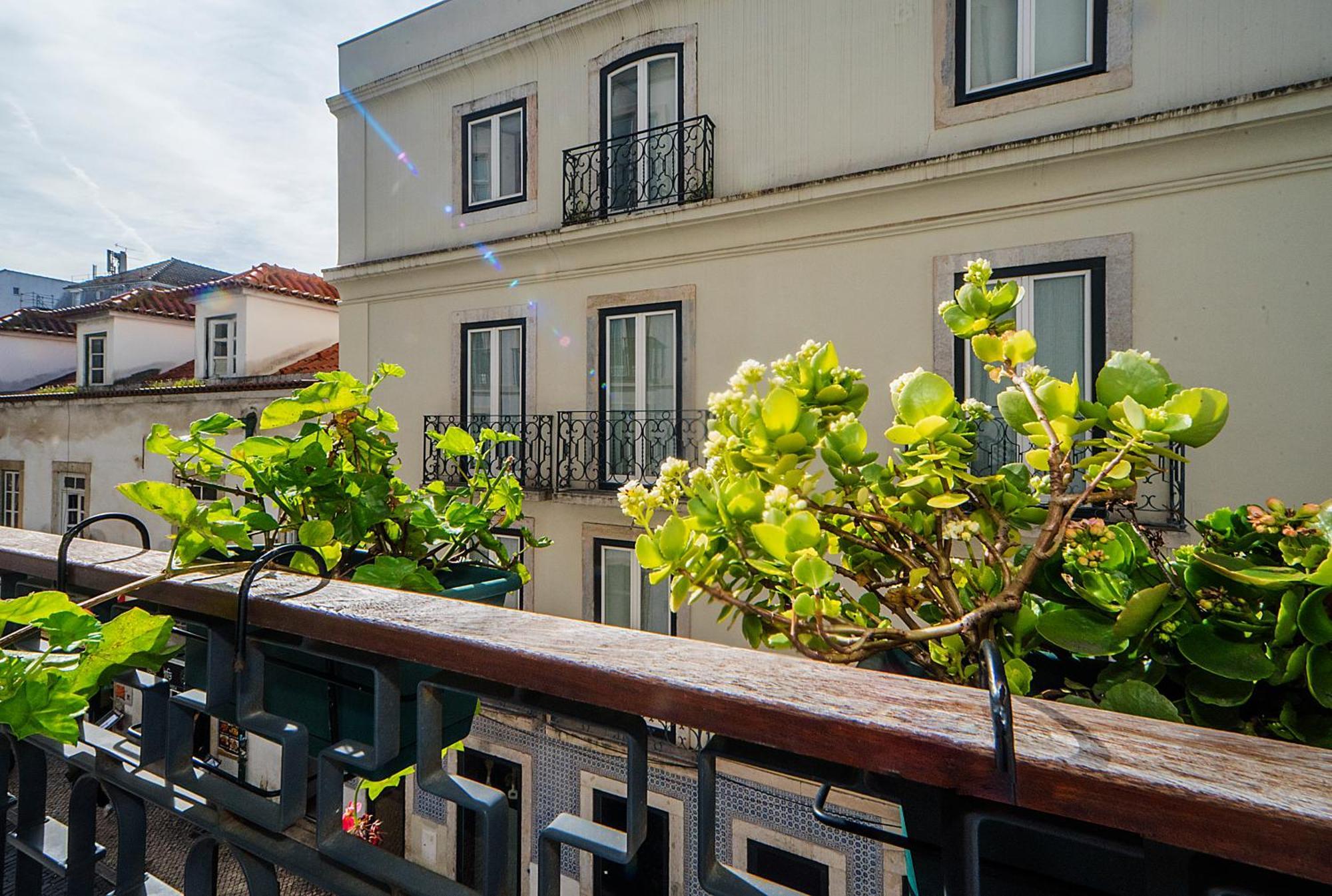 Apartment Intendente Prime By Hosty